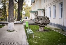 Recunoștința pacienților – nota cea mai mare pe care poate s-o primească un medic