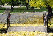 Meteo, 6 noiembrie 2025: zi de toamnă autentică, cu probabilitate scăzută de ploi