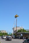 ODN_1305