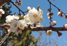 Meteo, 28 aprilie 2026: zi cu soare, dar cu valori termice sub media perioadei