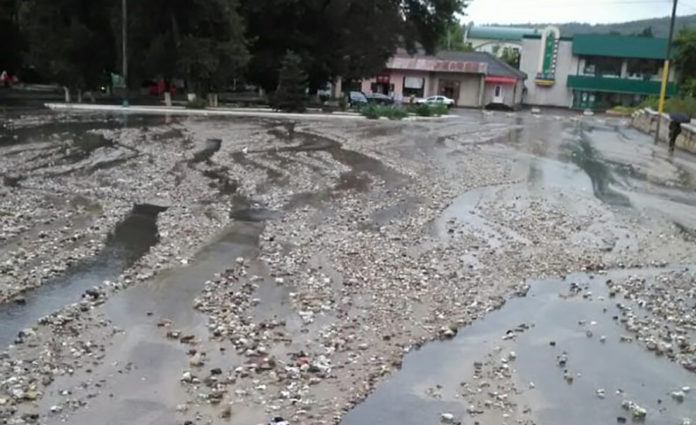 piatr piața libertății mare