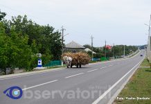 O schimbare prea importantă pentru a fi grăbită – Reforma administrativ-teritorială: între necesitate, temeri și responsabilitate / Video Conform CNAS, la data de 1 ianuarie 2020, de alocații sociale de stat majorate vor beneficia 9046 de persoane vârstnice care au un stagiu de cotizare mai mic de 15 ani.