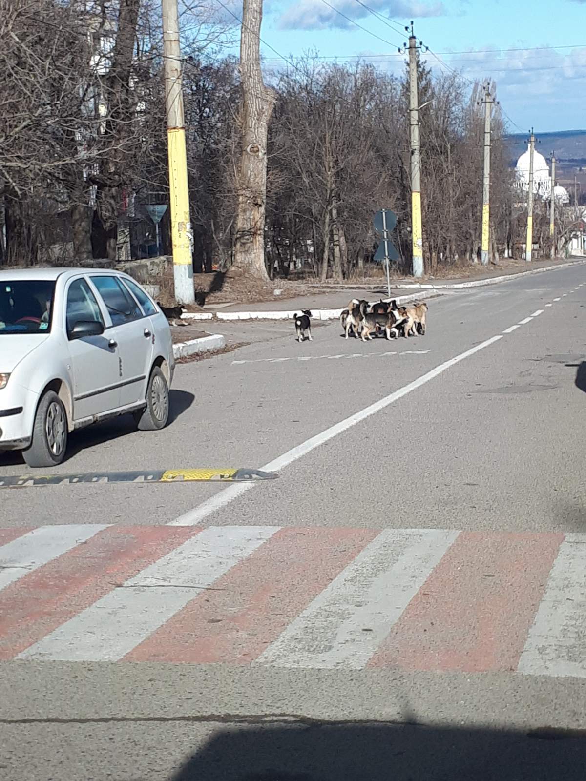 Foto: Veaceslav Ursu