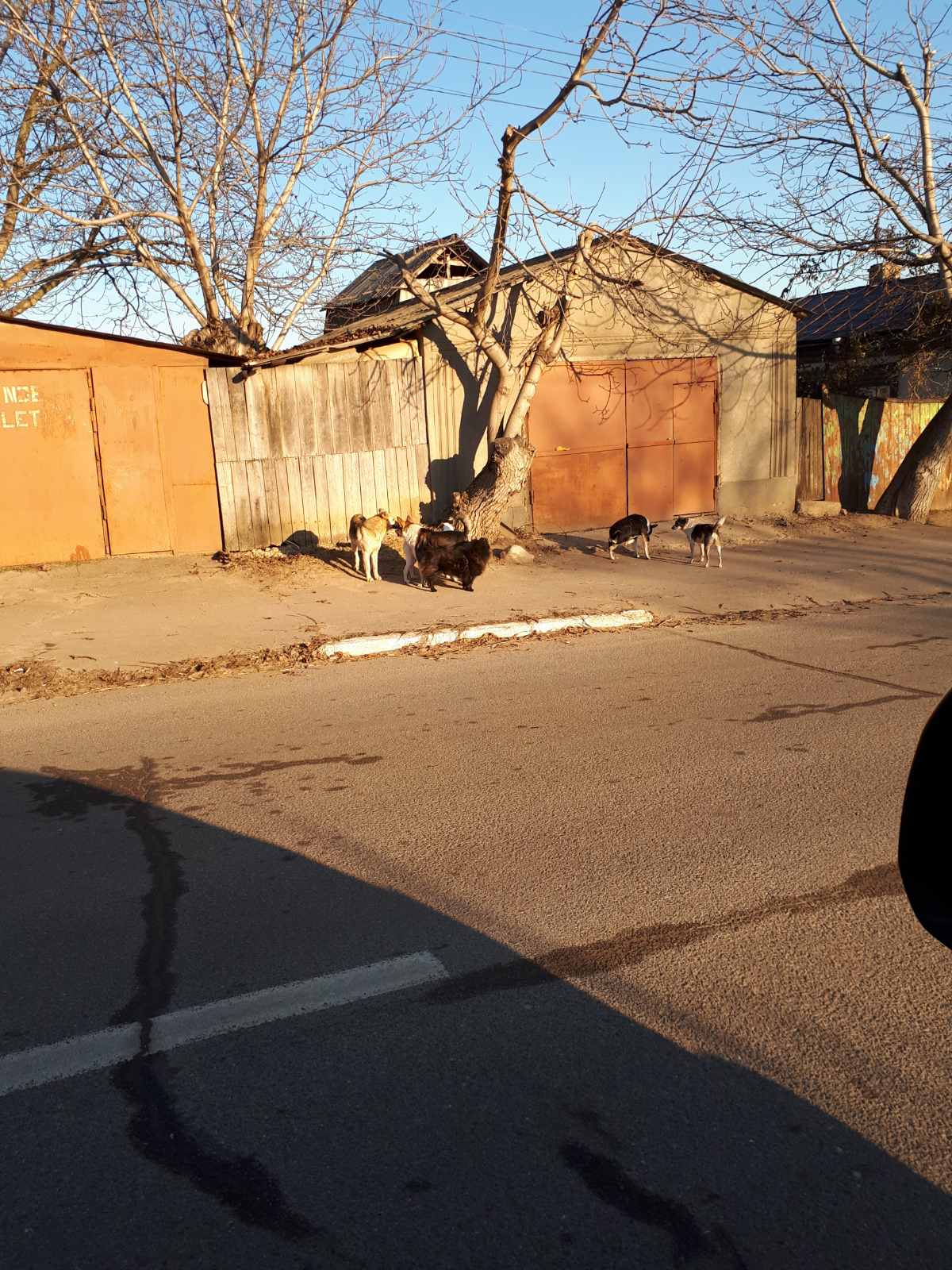 Foto: Veaceslav Ursu