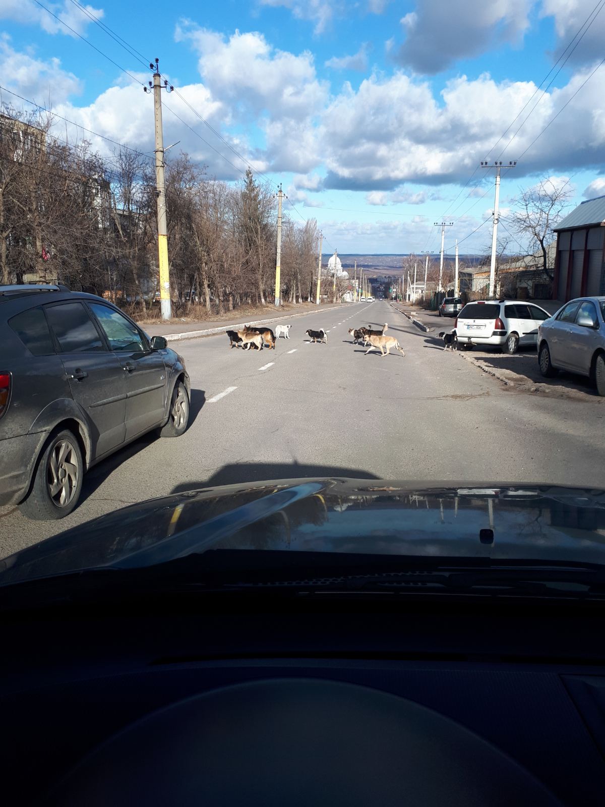 Foto: Veaceslav Ursu