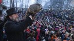 MARMOTA