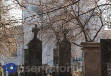 Jaf violent la marginea unui cimitir din Soroca: peste 10 mii de lei, un telefon mobil și carduri bancare