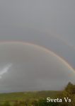 Curcubeie soroceni (12)