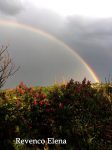 Curcubeie soroceni (4)