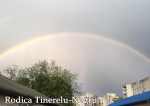 Curcubeie soroceni (5)