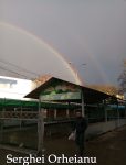 Curcubeie soroceni (8)