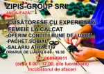 Zipis grup