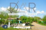 DAR