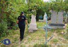 Jaf violent la marginea unui cimitir din Soroca: peste 10 mii de lei, un telefon mobil și carduri bancare