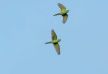 Trei istorii motivaționale despre persoane cu nevoi speciale din Moldova