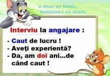 Ce NU TREBUIE sa faci la un interviu de angajare