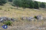 Nimereuca (1)