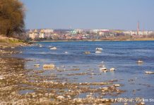 Meteo, 5 martie 2026: vreme posomorâtă, cu valori termice pozitive