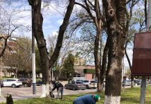 Primăria Soroca îndeamnă: Toată lumea să participe la salubrizarea urbei