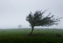 Meteo: a fost emis un Cod Galben de intensificări ale vântului