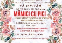Satul Drochia invită pe toți la târgul de toamnă „Mămici cu pici”
