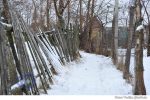 Badiceni iarna sat 2016 (4)