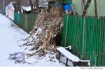 Badiceni sat iarna (11)