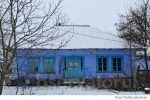 Badiceni sat iarna (15)