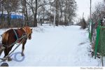 Badiceni sat iarna (16)