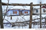 Badiceni sat iarna (17)