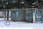 Badiceni sat iarna (4)