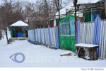 Badiceni sat iarna (6)