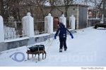 Badiceni sat iarna sanie (1)