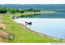 22 martie – Ziua Mondială a Apei: află acum 10 curiozități despre Nistru