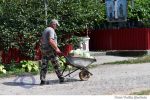 Curesnita sat gospodari varza (1)