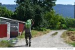 Curesnita sat gospodari varza (2)