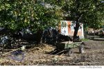 Darcauti sat casa (12)