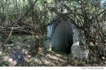 Darcautii Noi (2)