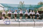 Vasilcau vara satului (17)