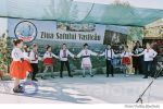 Vasilcau vara satului (40)