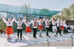 Vasilcau vara satului (41)