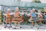 Vasilcau vara satului (70)