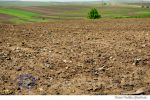 agricultura deseuri camp