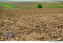 Noi reguli pentru acordarea subvențiilor în agricultură. Fondul național de dezvoltare a agriculturii și mediului rural dispune de un buget de 1,7 miliarde de lei.