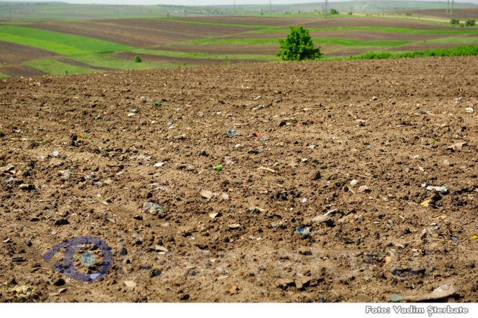 agricultura deseuri camp