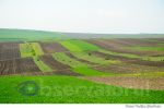 deal camp agricultura (1)
