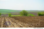 deal camp agricultura (2)