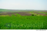 deal camp agricultura (3)