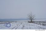 iarna (8)