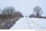iarna (9)